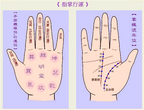 算命手|手相基础：几种重要的手纹图解